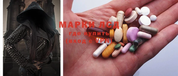 стаф Нефтегорск