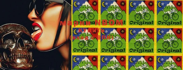 стаф Нефтегорск